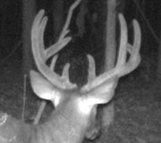 Trail-Cam-135